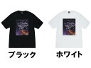 ステューシー 服 メンズ ステューシー STUSSY メンズ トップス Tシャツ【STUSSY MARTINI TEE】【ステューシー マティーニ】