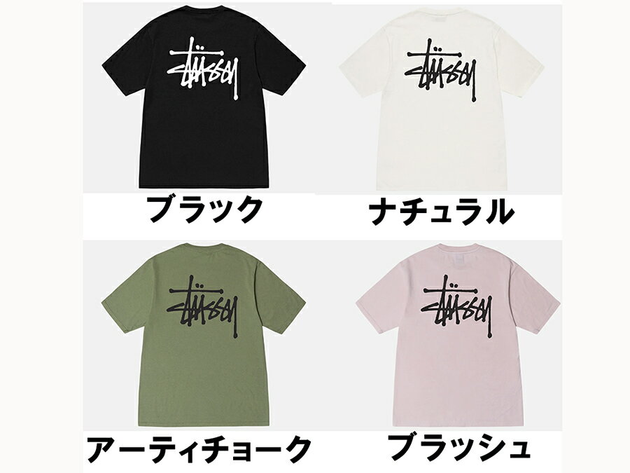 ステューシー STUSSY メンズ トップス Tシャツ