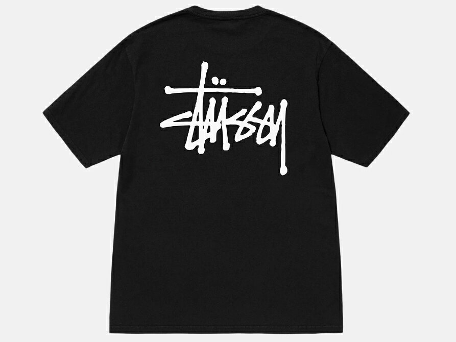 ステューシー STUSSY メンズ トップス ...の紹介画像3