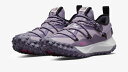 NIKE ACG MOUNTAIN FLY LOW SE EPナイキ ACG マウンテン フライ ロー SE EPPURPLE 22-05-K#80