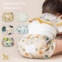 セノビト SENOBITO ブルマ ( 70 - 80cm )( 赤ちゃん ベビー 男の子 女の子 ベビー服 ベビーブルマ 短パン 半ズボン ショートパンツ おむつカバー コットン おしゃれ かわいい 可愛い 出産祝い ギフト プレゼント)【即納】