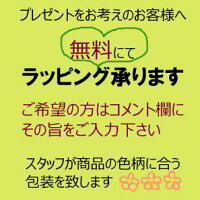 【手ぬぐい恐竜】【戸田屋商店】【注染】【梨園染】通年柄てぬぐい手拭い