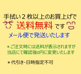 【絵手ぬぐい 黒豆柴とらんちゅう】【捺染】【濱文様】夏柄 柴犬 黒柴 金魚 蘭鋳 てぬぐい 手拭い