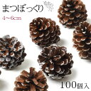 松ぼっくり 100個入 約4〜6cm 天然素材 まつぼっくり クリスマス オーナメント 正月 ハロウィン 工作 ハンドメイド 手芸 白 リース DIY cm24...