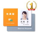 【最大3000円OFFクーポン配布中】【楽天1位受賞】【訳あり 新品】インクジェット用IDカード 穴なし はがきサイズ 200シート入り 400カード JP-ID03N-200 サンワサプライ ※箱にキズ、汚れあり