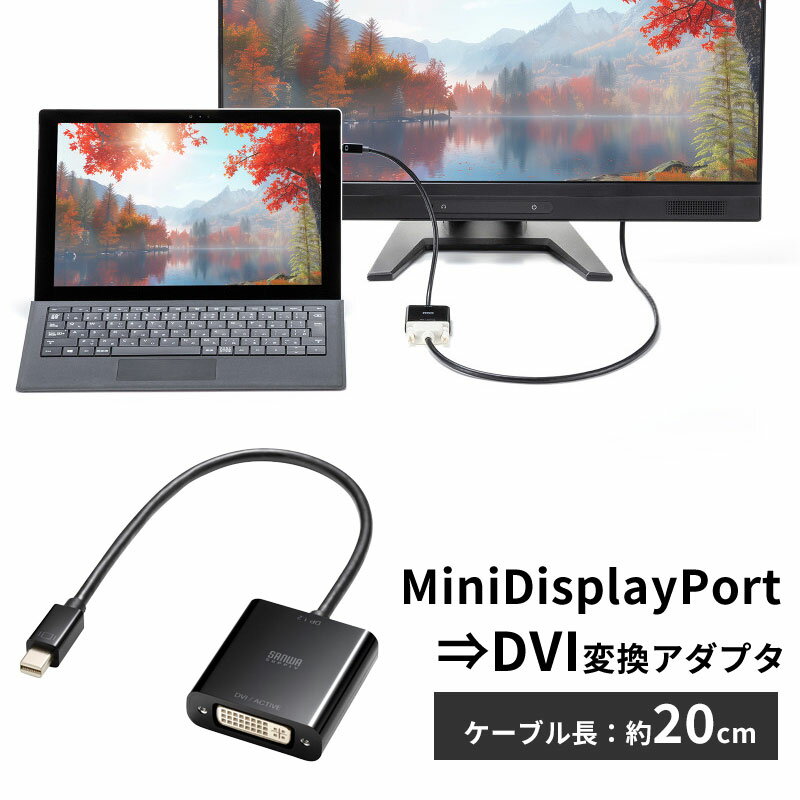 乐天商城 - 【最大2000円OFFクーポン配布中】Mini DisplayPort-DVI 変換アダプタ 20cm アクティブタイプ 1080p ミニDP 変換ケーブル AD-MDPDVA02 サンワサプライ【ネコポス対応】