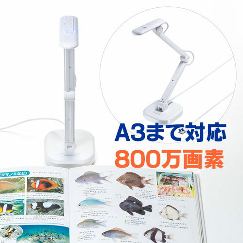 【最大3500円OFFクーポン 5/20まで】USB書画カメラ 高画質 800万画素 A3対応 LEDライト Zoom Teams対応 CMS-V46W サ…