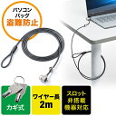 【4/20限定！抽選で100 P還元 全品P5倍】セキュリティワイヤー 2m 鍵 セキュリティスロット付き 盗難防止 防犯 ノートパソコン バッグ スーツケース マスターキー対応 ブラック EZ2-SL046【ネコポス対応】