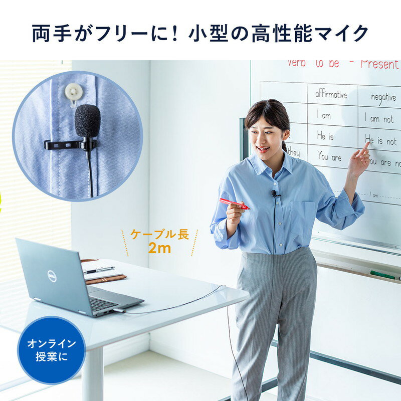 クリップ式 USBピンマイク (無指向性) 画像2