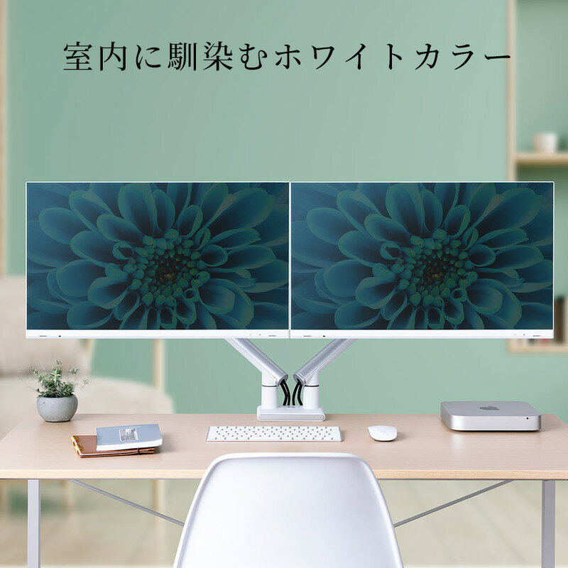 【ランク別最大P10倍＆最大3000円OFFクーポン】モニターアーム 2画面 内蔵スプリング 高荷重 大画面 クランプ 水平 垂直 上下 左右 360度 回転 2～9kg対応 34インチまで デザイン ホワイト EEX-LA041WH