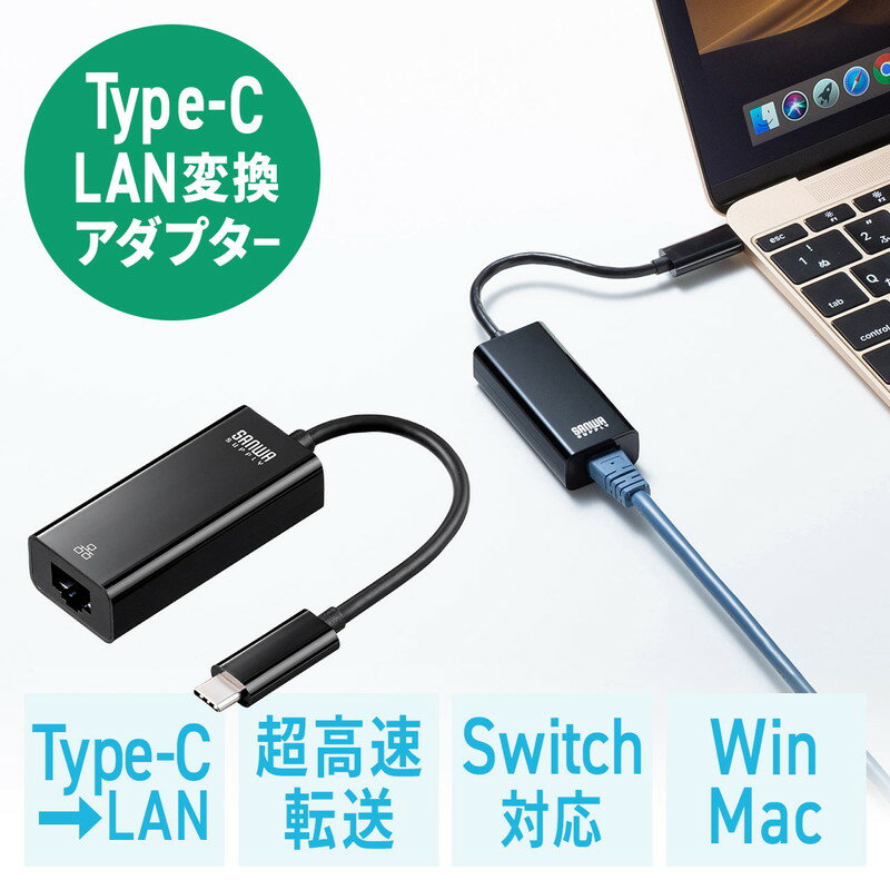 有線LANアダプター Type-C イーサネットアダプタ MacBook ChromeBook iPad Pro Nintendo Switch対応 EZ5-USB072BK【ネコポス対応】