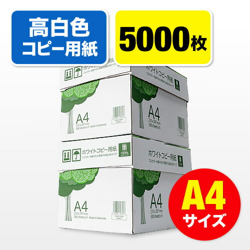 Rs[p A4TCY 500~10 5000 F EZ3-CP1A4-2