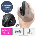 【4/25限定！抽選で100 P還元 10％OFFクーポン】トラックボールマウス Bluetooth 2.4GHzワイヤレス エルゴノミクス 静音 コンボマウス 5ボタン 充電式 ブラック EZ4-MAWBTTB190BK