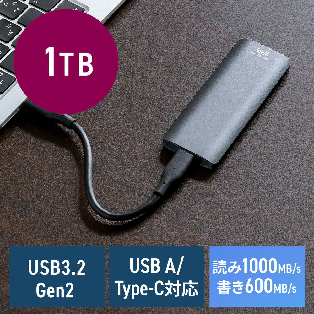 ポータブルSSD 高速タイプ 1TB 小型 外付け Type-A/Type-Cケーブル付き USB3.2 Gen2 テレビ録画 PS5/PS4/Xbox Series X EZ6-USSDL1TB