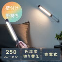 【最大3000円OFFクーポン配布中】LEDライト 壁面取り付け ウォールライト ハンディライト USB充電式 250ルーメン 明るさ3段階 色温度2種類 温白色 電球色 EZ8-LED070DS