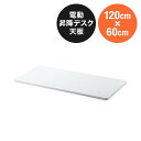 木製天板 幅120cm 奥行60cm ホワイト パーティクルボード メラミン化粧板 EZ1-ERD101W