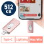 Lightning Type-C USB 512GB Piconizer4  iPhone Android б MFiǧ Хåå iPad USB 10Gbps EZ6-IPLUC512GP