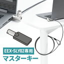 【5/1限定ポイント7倍(要エントリ)+最大1000円オフクーポン】マスターキー EEX-SLY02専用 EEX-MSK-SLY02
