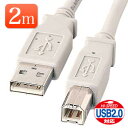 【最大777円OFFクーポン配布中】USBケーブル 2m ライトグレー USB2.0対応 EZ5-USB002【ネコポス対応】