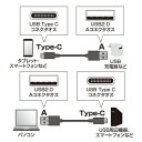 【最大777円OFFクーポン配布中】USB2.0 Type C-Aケーブル ブラック 0.5m KU-CA05K サンワサプライ 2