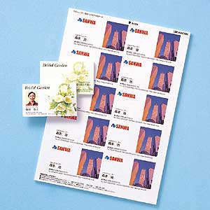 【最大2000円OFFクーポン配布中】【訳あり 新品】フォト光沢名刺カード カラーレーザー用 10シート LBP-MMC10KN サンワサプライ ※箱にキズ、汚...