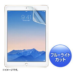 【4/25限定！抽選で100%P還元+10％OFFクーポン】iPad Air 2用ブルーライトカット液晶保護指紋反射防止フィルム LCD-IPAD6BCAR サンワサプライ