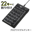 【最大777円OFFクーポン配布中】プログラマブルテンキー キーボード機能 ショートカット割付け可能 USBハブ2ポート付き USB A Windows用 ブラック NT-19UH2BKN2 サンワサプライ