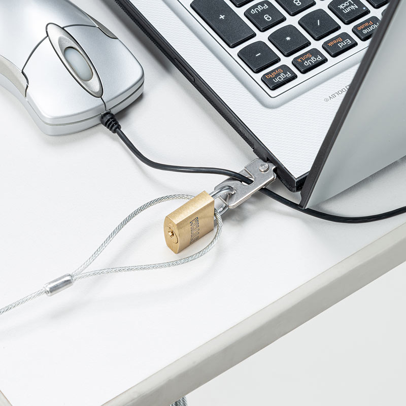 �ں���1000��OFF�����ݥ�������ۡ������� ���ʡۥ������ƥ��磻�䡼 ����� NanoSaver�����å��б� �磻�䡼��2.2?o SL-83 ����掠�ץ饤 ��Ȣ�˥��������줢��ڥͥ��ݥ��б���