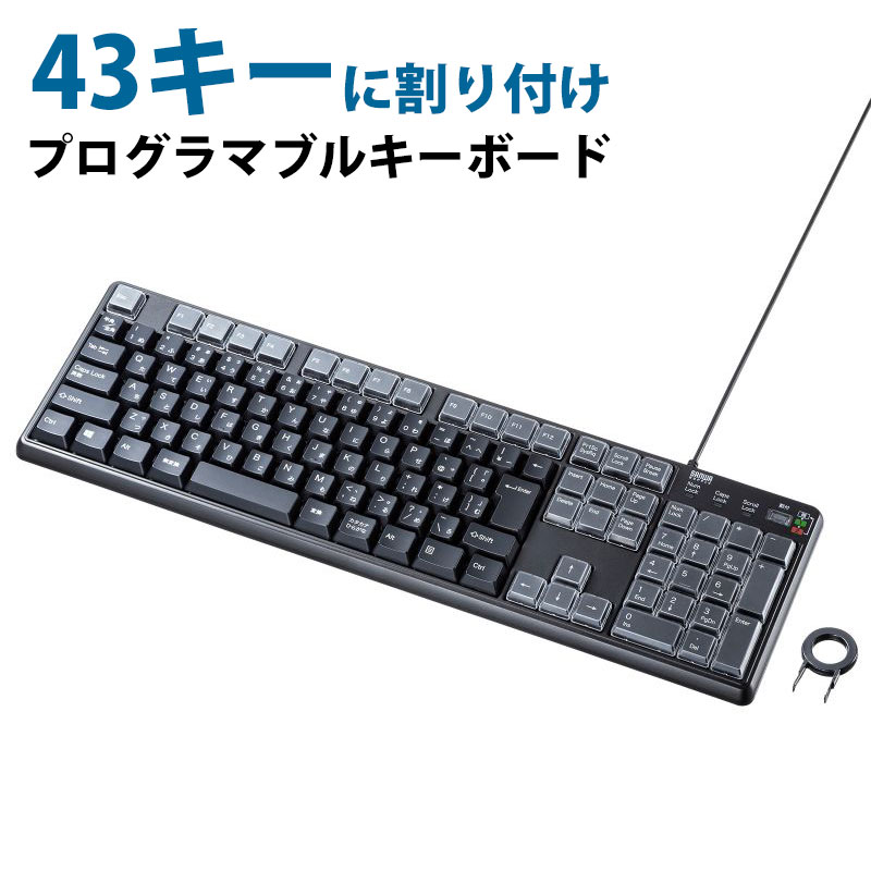 【最大2000円OFFクーポン配布中】【訳あり 新品】プログラマブルキーボード 43キー 割付 メンブレン 有線接続 ブラック SKB-P1BK サンワサプライ...