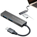 【訳あり 新品】USB Type-C 2ポートスリムハブ USB3.2 Gen1 2ポート 薄型 スリム バスパワー USB-3TCH24SN サンワサプライ ...