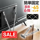 【スーパーSALE!限定価格】テレビ転倒防止ベルト 両面テープ固定 VESA取付 穴あけ不要 65型対応 震度6強対応 簡単取付 日本製 地震対策 EEX-EQ02GY