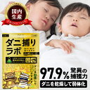 【マラソン限定!10%OFF】【誘引して乾燥】ダニ捕リラボ 乾燥タイプ 2/5/10枚入り ダニ捕りシート ダニ取りシート ダニシート ダニ取り ダニ捕り ダニとり ダニ退治 防ダニ 医師監修 3か月持続 駆除 ダニ駆除 だにとりシート ダニマット 家 ダニ 退治