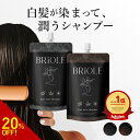 【1本7役 / 白髪に5分】 白髪染め シャンプー BRiOLE 白髪染めるシャンプー 女性 レディース 男性 メンズ トリートメント カラーシャンプー ブラッ...