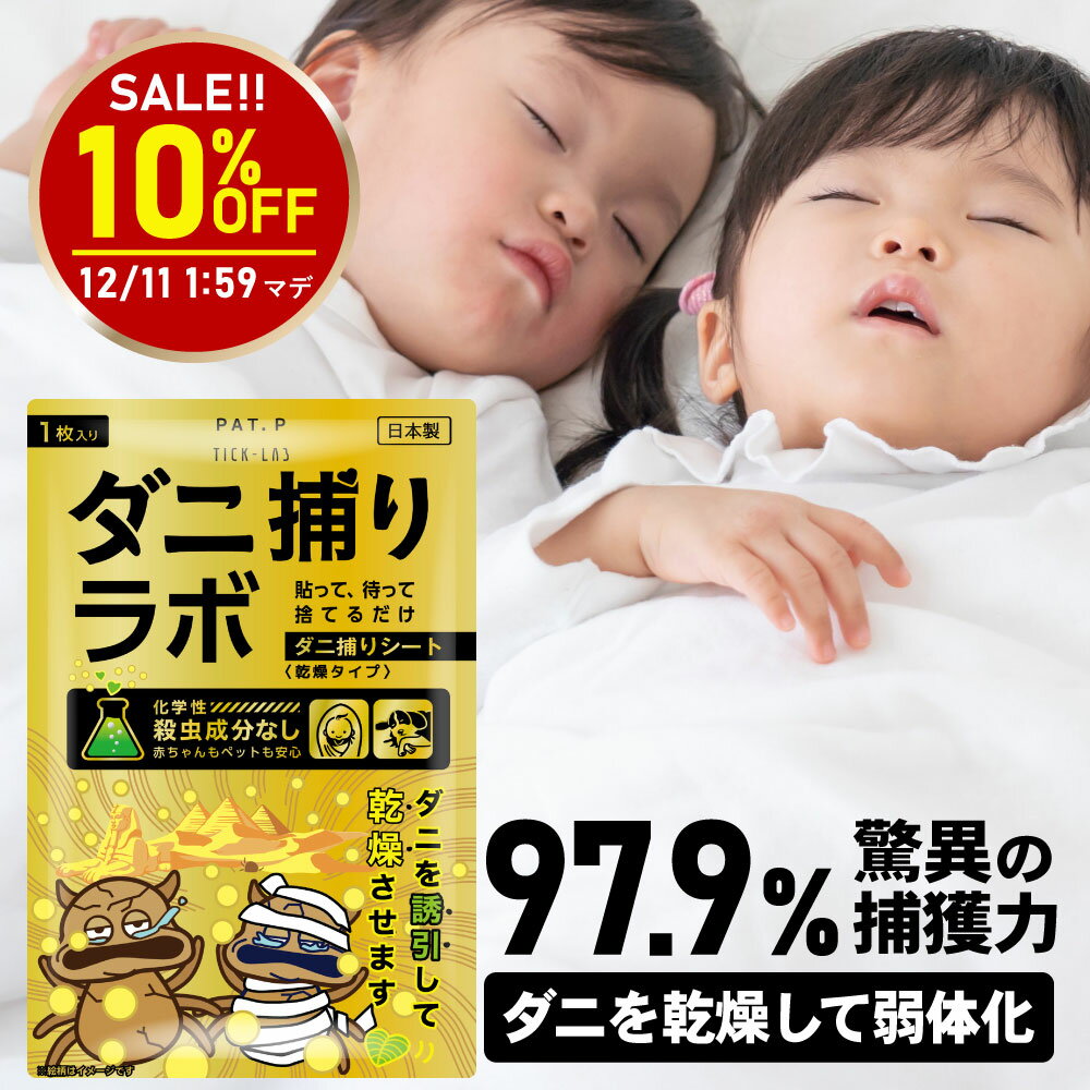 【スーパーSALE10％OFF】【誘引して乾