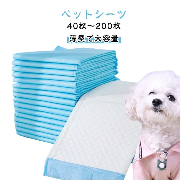 ■ 商品特徴高吸収・防臭設計の薄型ペットシーツ。犬、猫、ウサギなど多種ペットのトイレトレーニングや清潔管理に最適。 ■ 主な用途ペットのトイレトレーニング、ケージ内の清潔保持、介護時の衛生管理、多頭飼いやペット施設での日常使用。 ■ 対応ペット犬、猫、ウサギなどの小動物。 ■ サイズ・容量ワイドサイズ。枚数は40枚から200枚まで選択可能。薄型設計で収納性に優れる。 ■ ご注意製造ロットにより、細部形状や色味に多少の誤差が生じる場合があります。パッケージは予告なく変更する場合があります。商品の色は、光やモニター環境により実物と異なる場合があります。生地の特性上、開封時には匂いを感じることがありますが、数日の使用や陰干しで気にならなくなります。生産時期により形やサイズに多少の誤差が生じる場合があります。在庫状況により欠品となる場合がございます。出荷前検品を実施しておりますが、万が一不具合があった場合はお問い合わせください。