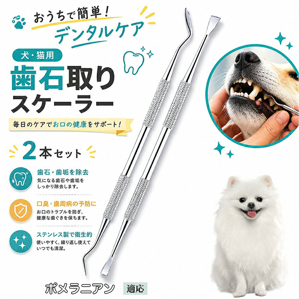 ポメラニアン 犬 歯石取り スケーラー 犬用デンタルケア 2本セット 両端2WAY 歯垢除去 口臭対策 黄ばみ除去 口腔ケア 犬猫兼用 自分で 衛生 ステンレス製 セルフケア
