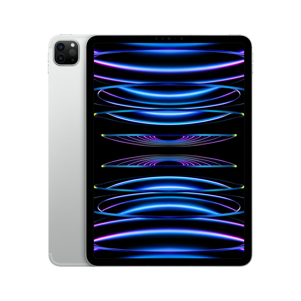 Apple 大人気 iPad Pro 11インチ 第4世代 Wi-Fi 128GB 3K873J/A [シルバー] 2022年秋モデル/展示美品/激安 /台数限定！