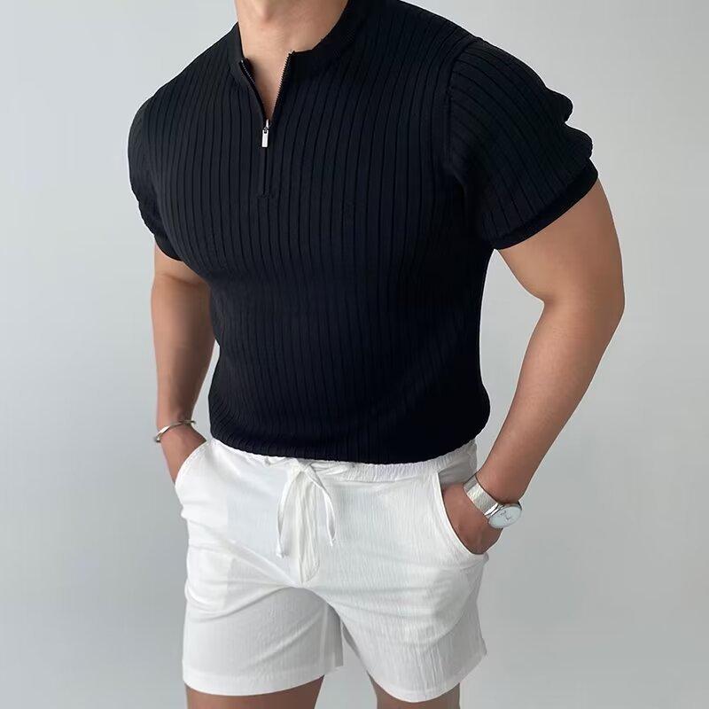 Tシャツメンズヘンリーネック半袖ニ...