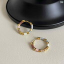 ピアス 小ぶり レディース 金属アレルギー対応 痛くない 軽量 華奢デザイン シンプル 上品 大人可愛い 普段使い オフィスカジュアル 結婚式 卒業式 入学式 誕生日 プレゼント フープ スタッド アクセサリー