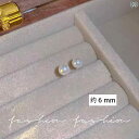 小ぶり ピアス レディース 金属アレルギー対応 痛くない 軽量 シンプル 上品 大人可愛い オフィスカジュアル 普段使い フォーマル 結婚式 卒業式 入学式 誕生日 プレゼント アクセサリー フープ スタッド
