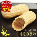 マラソン期間最大47倍P【 母の日 プレゼント スイーツ 】 らっかせい最中「はなうまれ」(10/16個入) | かわいい ピーナッツ ギフト 高級 お土産 落...