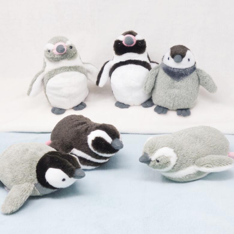 ぽちゃまる ぬいぐるみ 海中散歩 ペンギン ぺんぎん 小さめ マスコット ぬいぐるみ ふわふわ もふもふ 触り心地 癒し 大人 デスクワーク 癒し グッズ ぬいぐるみ キュート ペンギン ぬいぐるみ 水族館 お土産 海 アニマル グッズ 雑貨 かわいい ギフト プレゼント 卒業の商品画像 2