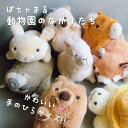 \期間限定クーポンあり/ ぽちゃまる ぬいぐるみ 大陸散歩 クオッカ ハシビロコウ ハリネズミ ウサギ レッサーパンダ ナマケモノ アルパカ 馬 カピバラ カメ...