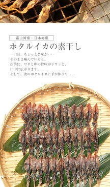 おつまみに！富山のホタルイカ 素干し 18尾入り◆珍味/干物/富山のつまみ/北陸/富山の土産/富山のギフト/ご当地グルメ/お取り寄せ/富山のグルメ/素干し/ホタルイカ 干物◆