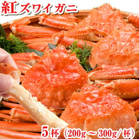 【送料無料 未冷凍】 紅ズワイガニ 訳有5杯 (ゆで後200g～300g/杯) 富山 ボイル 姿 蟹 訳あり 滑川産地より直送 ベニズワイガニ ゆでがに 茹で蟹 かに カニ 紅ズワイ 富山の紅ずわいがに ギフト 富山 お土産 お歳暮 誕生