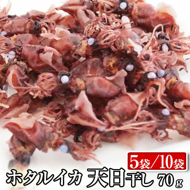 【送料無料】 ホタルイカ釜揚げ 天日干し /5袋/10袋 70g入り 富山名産 ほたるいか 珍味 つまみ お酒 富山 氷見 釜揚…