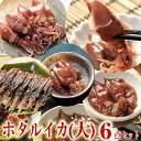 【送料無料】 ホタルイカ 沖漬け(大) 3種3品 釜揚げ 2...