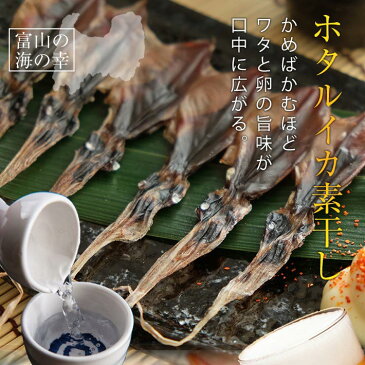 【メール便 送料無料】ホタルイカ 素干し 18尾入り×2袋 干物/珍味/富山のつまみ/ほたるいか/酒のつまみ/ご当地グルメ/お取り寄せ/グルメ/ポッキリ/ぽっきり/1000円