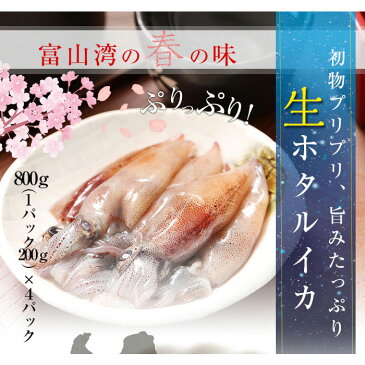 【送料無料】富山湾・滑川産 ホタルイカ 生 生食用 2020年新物 800g（200g×4パック） 急速冷凍 ほたるいか