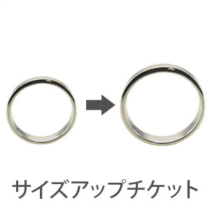 リングサイズアップチケット4500円